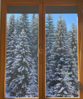 Apartman Jahorina 6